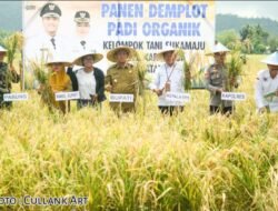 Siapkan 10 Hektar Petak Sawah, Transformasi Masa Depan Petani Lutim Di Tangan Ibas-Puspa.