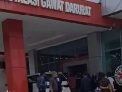 Sabung Ayam Di Lutim Berujung Maut, Ayam Jago Tusuk Pemiliknya Sendiri Hingga Tewas.