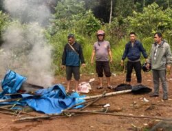 Personil Polsek Towuti Gerebek Judi Sabung Ayam. Arena Dibongkar Dan Dibakar.