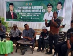 Petani Lutim Dapat Penyaluran Benih Jagung Hibrida Dari Tamsil Linrung Disambut Baik Rusdi Layong.