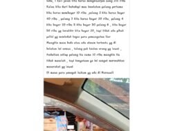 Viral Keluhan Warga Terkait Dugaan Pungli Berantai di Jalan Seba-Seba Morowali, Capai Rp210 Ribu Sekali Melintas. Netizen Pro Kontra Saling Lempar Komentar.