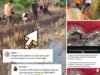 Pembunuhan Gadis Di Kalaena, Pelakunya Anak SMA.